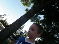 P9130006 (2)  Scoping out a squirrel to chase!