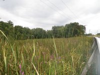 P9160038