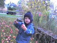 ATT00057  Picking apples at Josh and Ang's place - these were truly delicious!