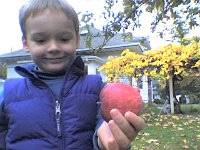 ATT00060  Mom, aren't these apples GOooooD!?