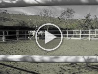 MVI 0429  A movie showing off a canter and trot transition! What fun!!! I think I will pursue lessons back in Hawaii. I really miss the communion between horse and rider that focusing on hunt-seat equitation (the art of riding horseback correctly). I miss the apparel, too!