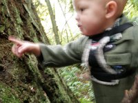 PA200015  Ben said "HI!" to every tree. He hiked about 1.5 miles as well - I was surprised. He did get tired toward the end but still wanted "DOWN!"