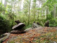 PA200034  A huge rock with little cairns on it on the upper loop of the trail. Tonight we're off to dinner with John and Christine and their kids - friends from the NR-1 CT days!