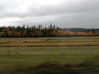 PA210002  Driving to Port Townsend to catch the ferry to Whidbey Island. Fall colors!