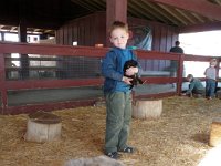 PA290040  And super funny chickens. Here is Sam with his favorite guinea pig.