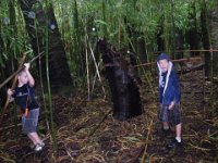 Pu'u Ohia