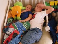 IMGP0966  After waffles, we found the boys snuggled up together just lounging :)
