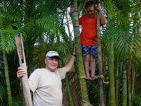 IMGP1285  Grandpa built a very ingenious ladder for Sam to use to climb up pretty high. He likes to shimmy around in these palms all the time, so he and Grandpa worked for quite some time building the ladder. Meanwhile, Mommy was thinking about what kind of "Grandpa" insurance rider she might need to add to the policy...for Ben.