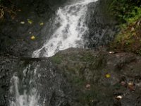 IMGP2817