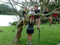 2011-03-23Ho'omaluhia (24)  Tree decorating! We got all the boys up there, but one was none too thrilled once he got up :(