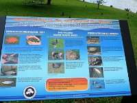 2011-03-23Ho'omaluhia (25)