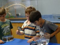 2011-03-28MarineMunchiesWaikikiAquarium (22)