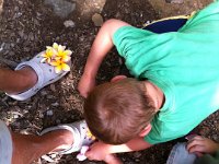 photo 33  Decorating Gramma's crocs :)