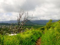 tsunami bailout hike