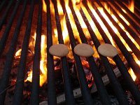 IMGP3938  Roasting Nilla Wafers because the mini store was out of marshmallows. Soooo...we called these S'NORES. What if you cross SPAM and S'MORES?                       SPORES!!!!!