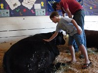 IMGP4637  Patting a steer, which is a gelded bull. I didn't know that. Very nice guy. And steer.