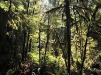 Marymere Falls