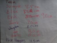 IMAG1372  Team Merlin at bottom :) In fairness, I think you can see which teams had a parent help, and which didn't.