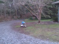 IMAG1378  There he goes! He is on a dead run with Bruno. Very funny when he wipes out in MUD! ICK!
