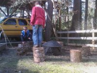 IMAG1510  Roosting! I moved the stumps into the fire pit area so we could sit under the plum tree just like the chickens.