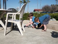 IMGP6206  A stop off at Coronado for lunch and feeding birds :)