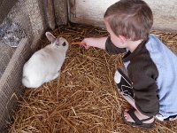 IMGP6242  Ben deciding it might be fun to feed a bunny. But not touch it.