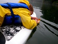 IMGP7618  Keeping the bow up so we don't "pearl" (get a ton of water in the canoe and cause it to capsize). He learned bow and stern today.