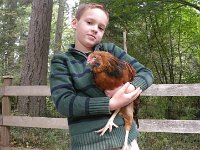 IMGP7549  Then it was time to play with chickens. We put the big kids (the grown-up hens and Merlin) in the run so we could play with our babies in the garden. This is Gordon!