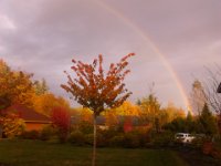 IMG 20121101 165457  Rainbow right after PREP class at church. So pretty!