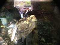 2013-04-01 (43)