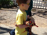 2013-04-01 (84)  Carrying the snakes all over ;) We will miss these days when they are little and so cute.