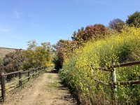 2013-04-02 (16)