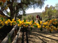 2013-04-02 (18)