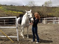 2013-04-05 (40)  I got to go riding, too! This is Leah, the horse I rode 3.5 years ago! Such a sweet girl. 20 years old now.