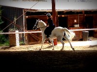 2013-04-05 (48)