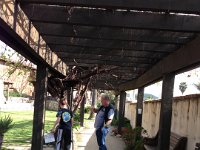 2013-04-05 (8)