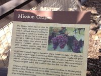 2013-04-05 (9)