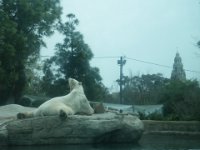 IMGP8905  Eating lunch while lounging :)