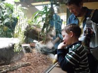 IMGP8920