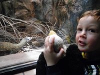IMGP8922  Eagle really liked seeing all the reptiles, too.