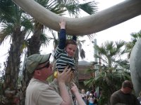 IMGP8929  Hanging from an elephant tusk!