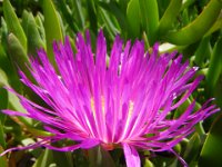 IMGP8957