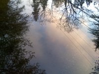 Pic-04162013-001  This is a reflection in a puddle.
