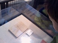 Pic-04272013-006