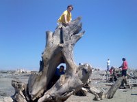 Pic-08042013-016