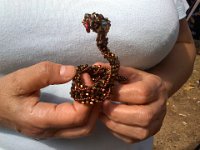 Pic-08112013-011  Meeting some neat artisans on the studio tour - this is a beaded snake!