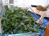 Pic-08252013-003  Harvested some kale - what was left after the chickens marauded it despite my hoops and nets! It was really good baked with goat cheese. That is my baguette behind it. Yummy dinner!