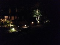 lights3