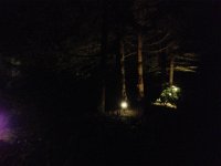 lights6