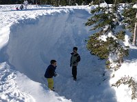 IMGP8326  They liked this big crevasse for digging and sliding.